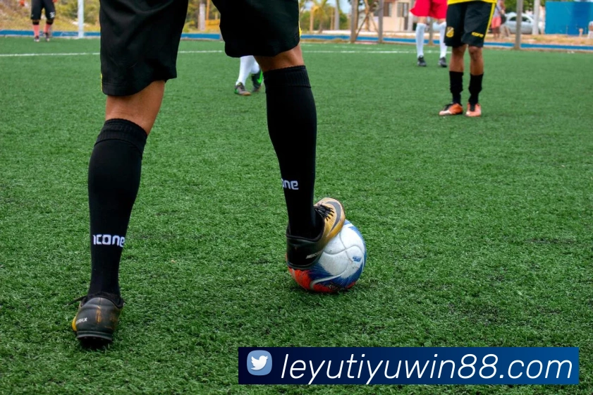 App Interface Preview